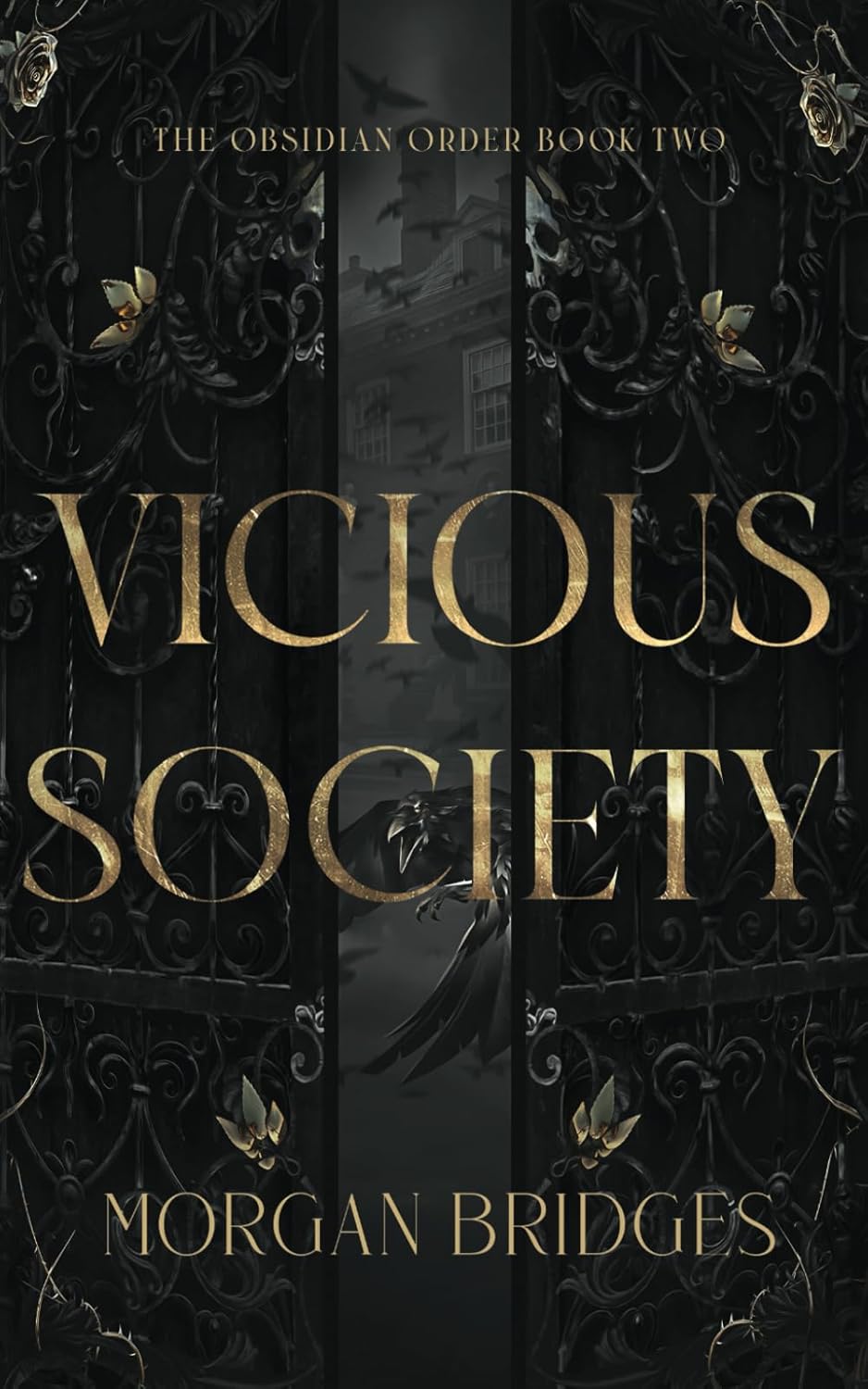 Vicious Society: A Dark Secret Society Romance (The Obsidian Order #2)