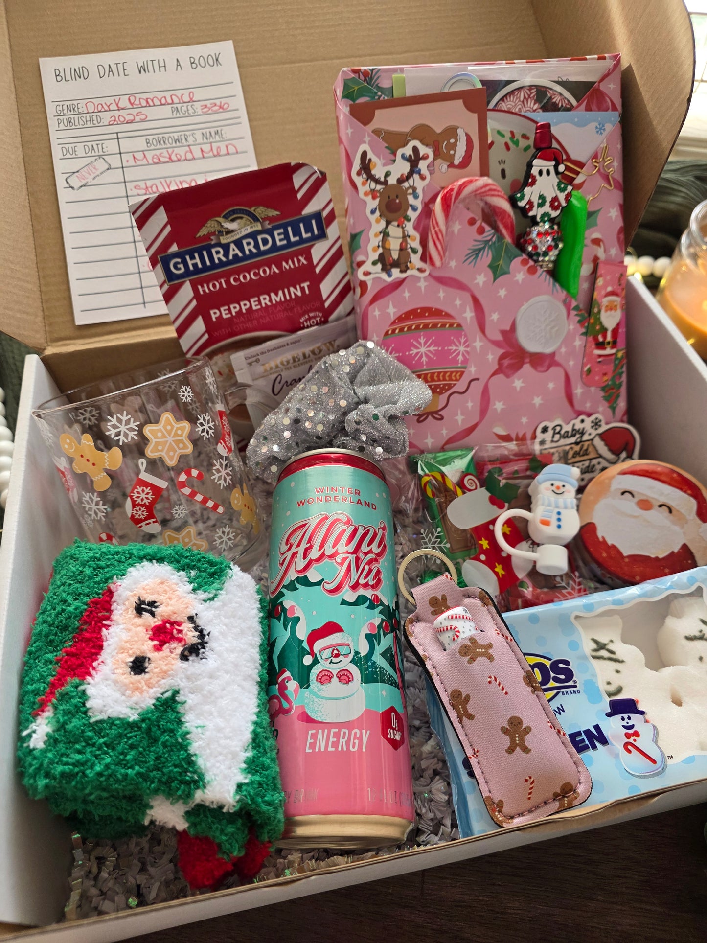 BRRR Box - Christmas Blind Date with a Book