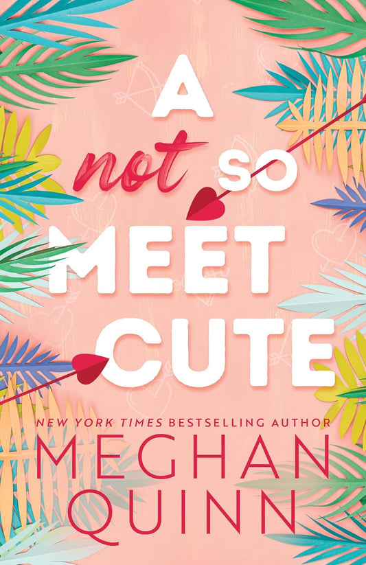 A Not So Meet Cute (Cane Brothers, #1)