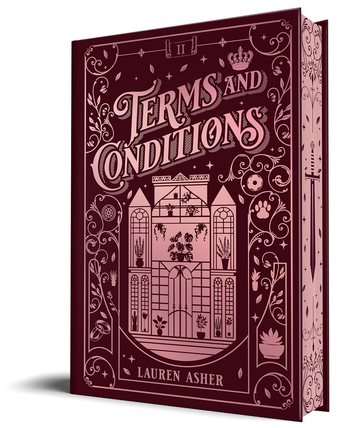 Terms and Conditions (Collector's Edition) (Dreamland Billionaires, 2)