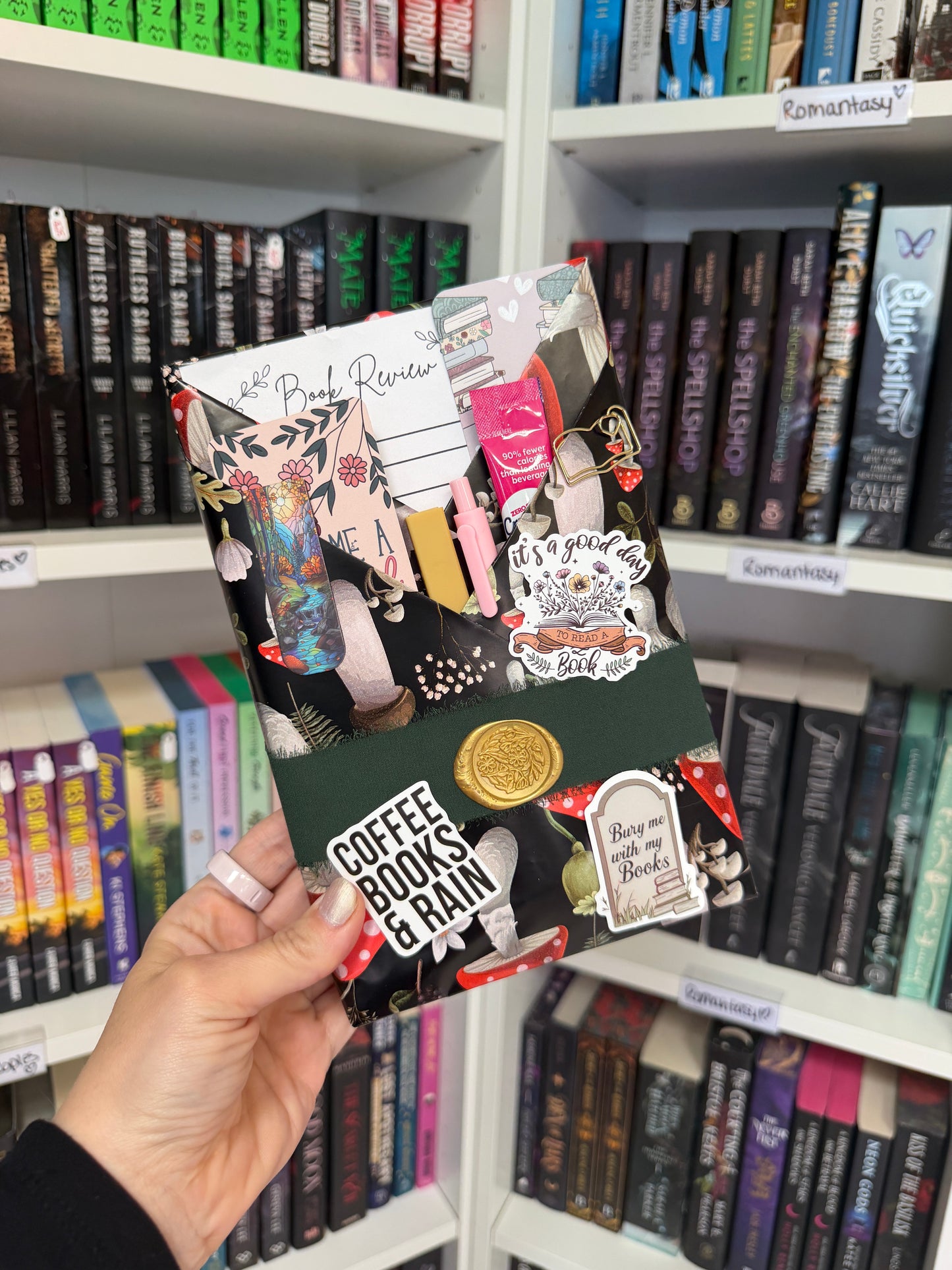 Second Chance Romance Blind Date with a Book